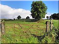 Envagh Townland