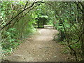 Two long distance footpaths pass through Selsdon Wood