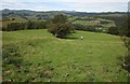 Pasture on Glyndwr