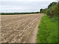 Bridleway near Hawton Ville 