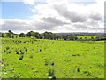 Envagh Townland