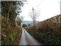 Traffic cone on a telephone pole, Coed-y-paen