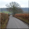 Road to Llangybi nears the eastern edge of Coed-y-paen