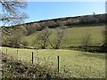 Fields, Riscombe