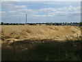 Crop field, Keysoe