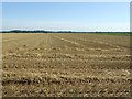 Harvested Field