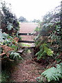 Stile on the footpath to Mursley