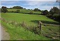 Fields near Cefn-Gader