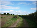 A path heading to High Catton