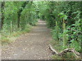 Wooded path across Croham Hurst Golf Course