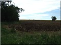 Farmland near Hardwick End