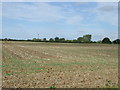 Farmland, Riseley