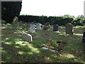 Graveyard, All Saints Church, Riseley