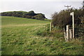 Footpath heading north from Quarr Lane