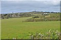 Landscape towards Carn Brea