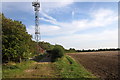 Mobile phone mast by the bridleway