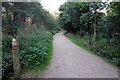 Cycle path in Salcey Forest