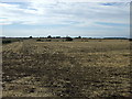 Farmland off Keysoe Road