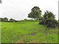 Rowan Townland