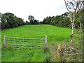 Rowan Townland