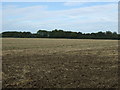 Farmland near Bolnhurst 