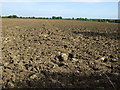 Farmland near Bushmead