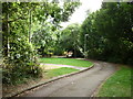 The cycle lane and path towards Stepney Lane