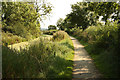 SK6136 : Grantham Canal towpath by Richard Croft