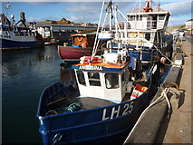 NT9464 : Leith Registered Fishing Boats : Angusina (LH25) at Eyemouth by Richard West