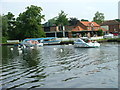 Swans and boats on Wroxham Broad