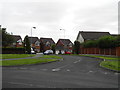 Bittern Drive, Droylsden