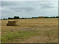 Harvested field at Grove Farm