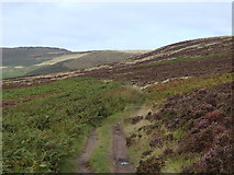 SK2581 : Footpath across Hathersage Moor by Andrew Hill