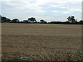 Farmland, Upper Honeydon Farm