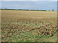 Farmland near Honeydon