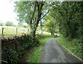 Stone wall lining Pandymawr Road, Bedwas