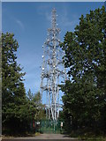 SU8962 : TV relay station, Bagshot Heath by Alan Hunt