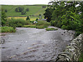 The River Wharfe after rain