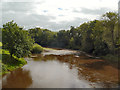 River Usk from Llanellen Bridge