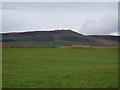 Farmland below the Sidlaws