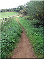 Path up Partridge Hill