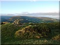 Summit cairn on Twyn-y-Gaer