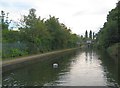 Birmingham & Fazeley Canal: Cincinnati Bridge