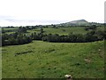 Full Brook valley south of Llangattock Lingoed