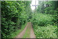 Footpath to Alderbrook Copse