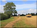 Straw bales by the footpath