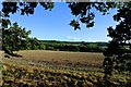 North to The Goudhurst Ridge from Worms Hill