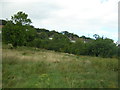 Whitehorse Meadow, South Norwood