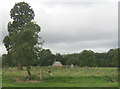 Abandoned graveyard at the site of the ruin of St John