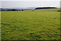 View over the Wye valley